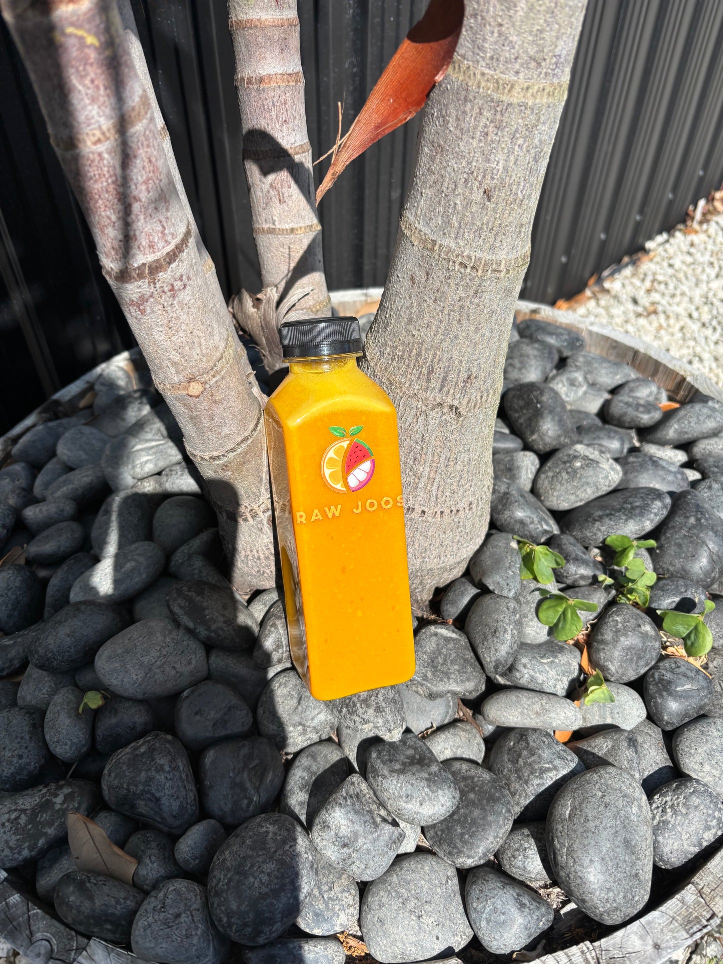 Immunity Booster Drink